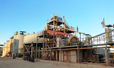 Gold CIP/CIL plant
