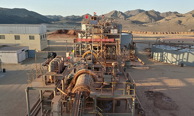 Gold CIP/CIL plant