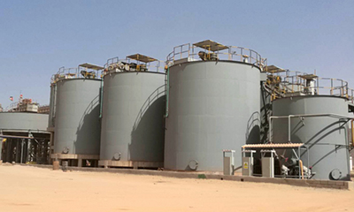 Gold CIP/CIL plant
